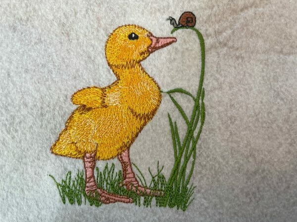 Curious Duckling Dribble Bib